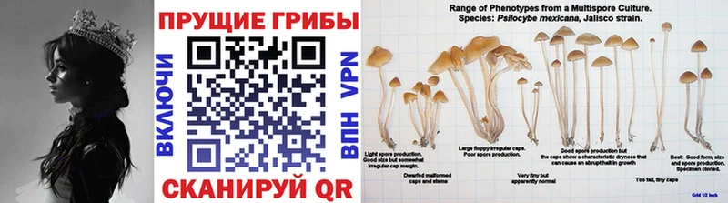 Псилоцибиновые грибы мухоморы  Устюжна 